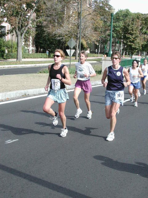 tufts064.jpg  (90.1 Kb)