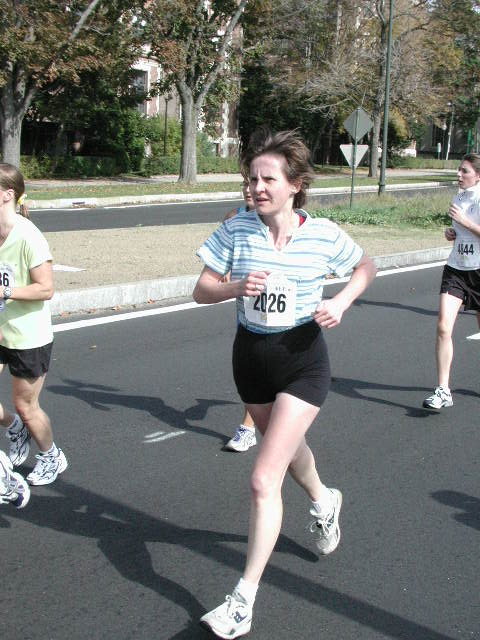 tufts065.jpg  (86.2 Kb)