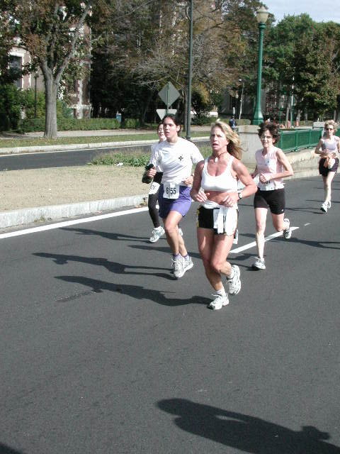 tufts081.jpg  (82.9 Kb)