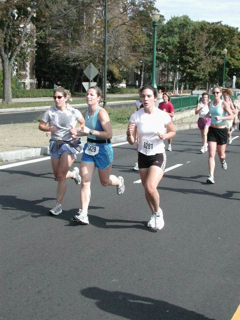 tufts083.jpg  (84.5 Kb)
