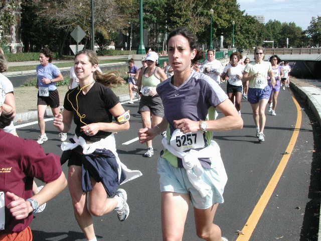 tufts133.jpg  (65.0 Kb)