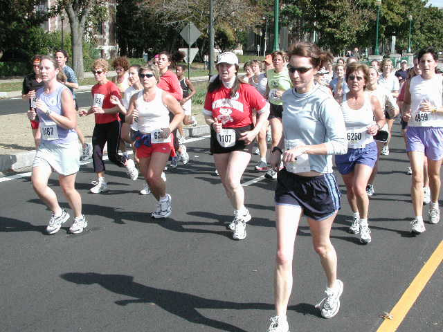 tufts172.jpg  (66.4 Kb)