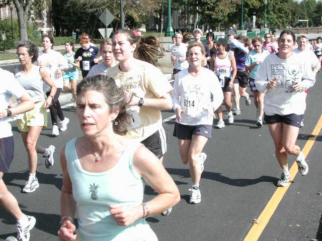 tufts173.jpg  (64.3 Kb)