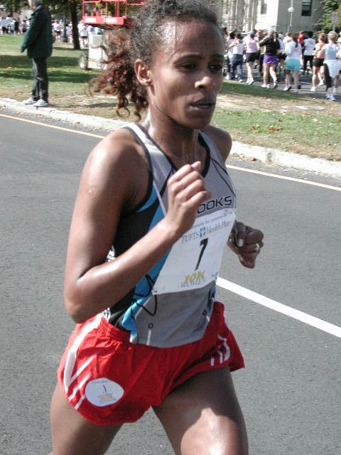 tufts191.jpg  (81.3 Kb)