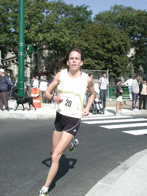 tufts211.jpg  (94.2 Kb)