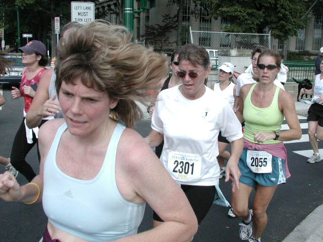 tufts465.jpg  (68.5 Kb)