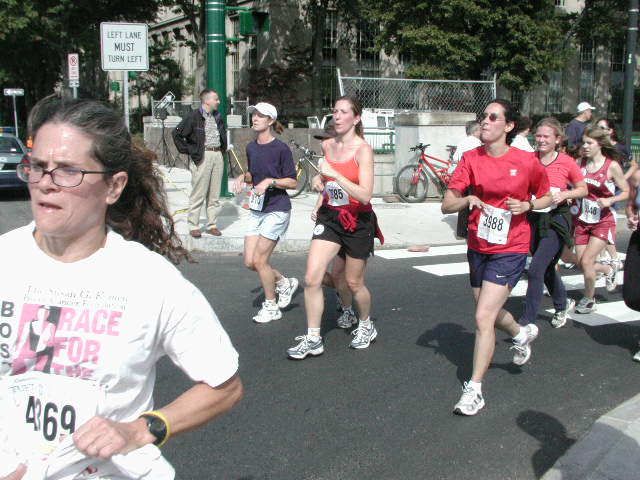tufts495.jpg  (70.5 Kb)