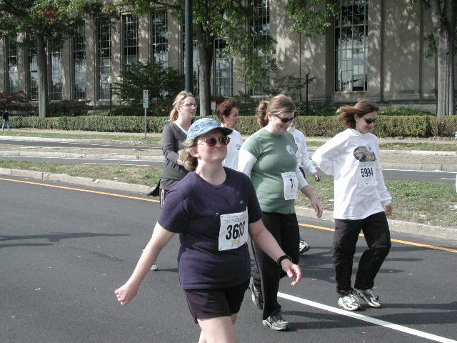 tufts905.jpg  (71.8 Kb)