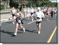 tufts135.jpg  (72.1 Kb)