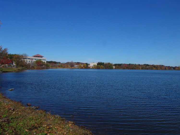 051030-004.jpg  (84.2 Kb)