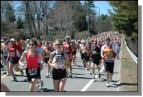 ESC_0696.jpg  (107.8 Kb)