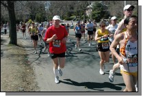 HSC_0617.jpg  (102.4 Kb)