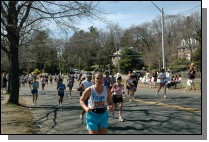ISC_0484.jpg  (105.0 Kb)