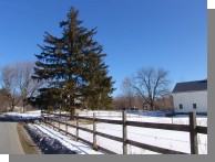 DSC02344.jpg  (110.0 Kb)