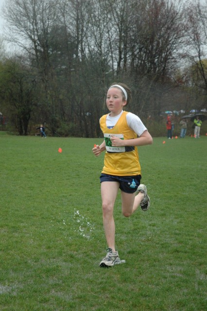 DSC_0379.jpg  (77.7 Kb)