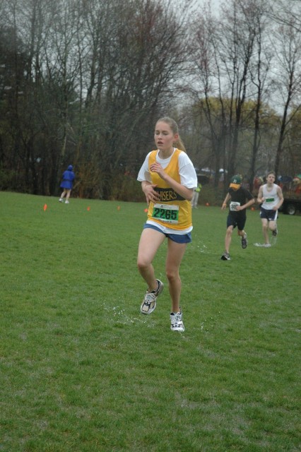 DSC_0381.jpg  (78.5 Kb)