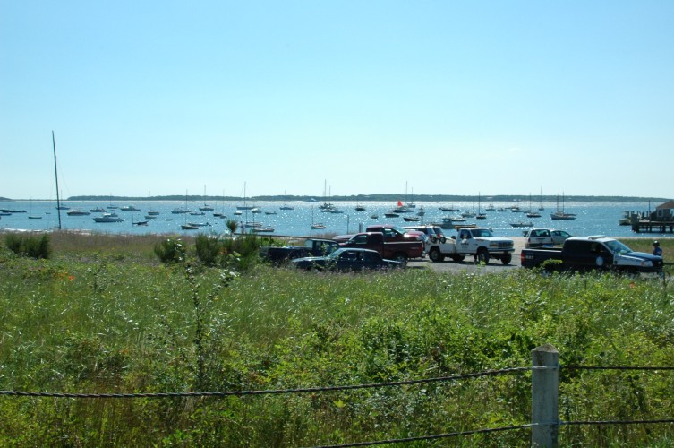 050724-1071.jpg  (99.9 Kb)