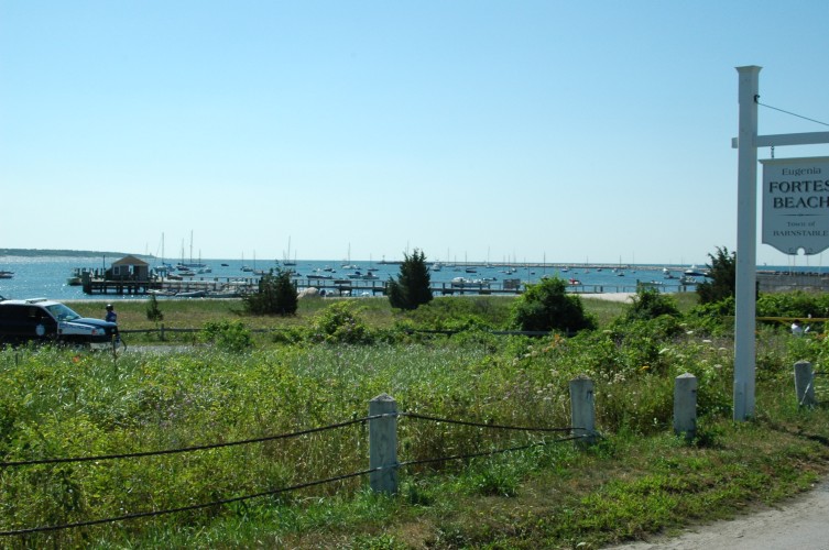 050724-1072.jpg  (96.1 Kb)