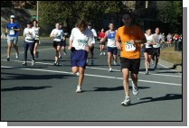061008-1244.jpg  (108.5 Kb)