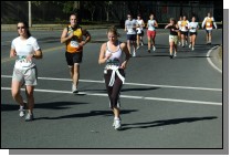 061008-1625.jpg  (95.9 Kb)