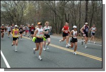 DSC_2963.jpg  (103.2 Kb)