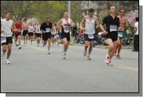 060417-0589.jpg  (98.6 Kb)