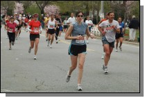 060417-1415.jpg  (88.0 Kb)
