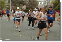 060417-2006.jpg  (102.5 Kb)