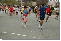 060417-2010.jpg  (113.8 Kb)