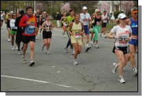 060417-2012.jpg  (110.9 Kb)