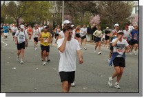 060417-2039.jpg  (103.5 Kb)