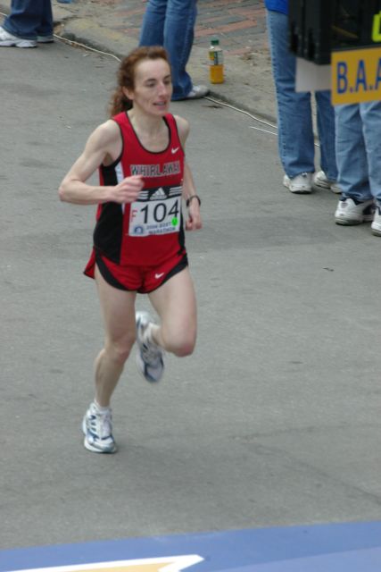 IMGP0153.jpg  (92.9 Kb)