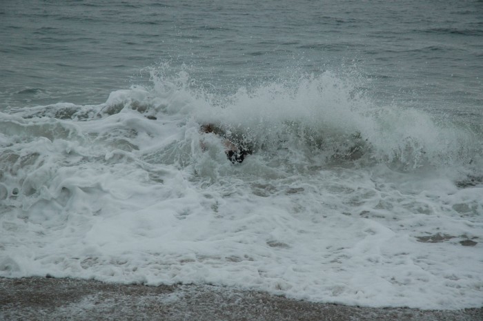 DSC_9927.jpg  (71.2 Kb)