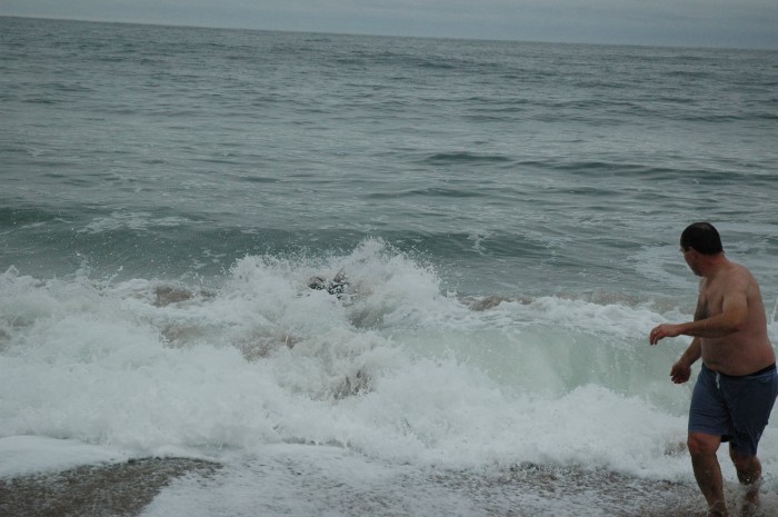DSC_9953.jpg  (69.0 Kb)