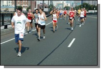 060909-0103.jpg  (105.5 Kb)