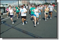 060909-0196.jpg  (113.3 Kb)