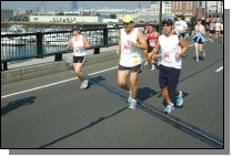 060909-0204.jpg  (110.6 Kb)