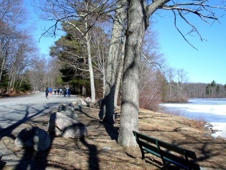 060305-09.jpg  (151.0 Kb)