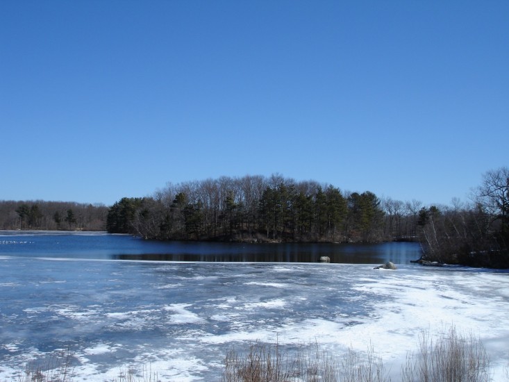 060305-41.jpg  (73.2 Kb)