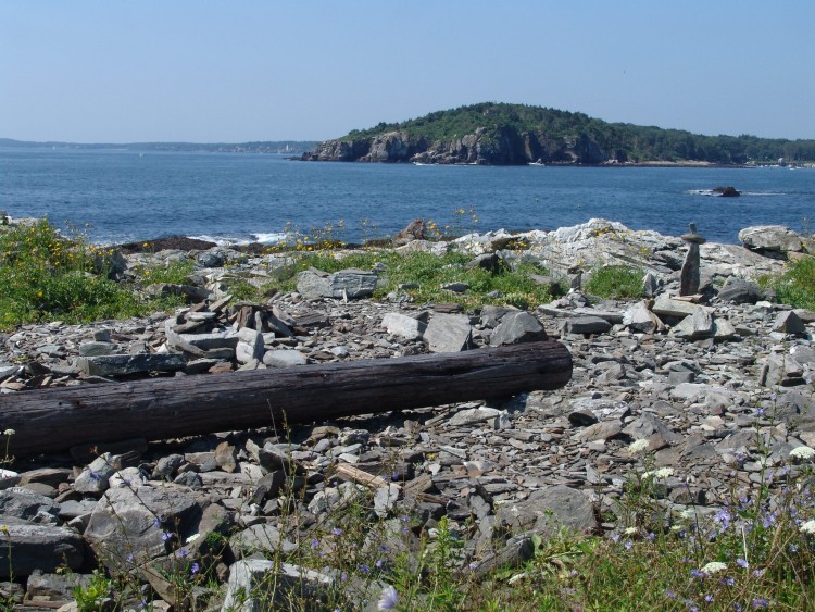 060729-039.jpg  (149.3 Kb)