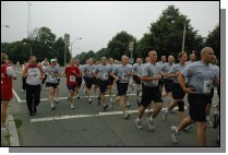 DSC_0381.jpg  (82.8 Kb)