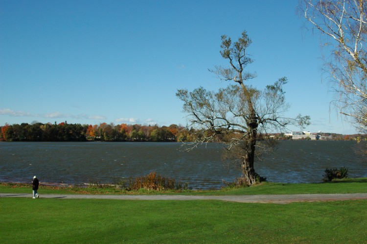 071028-014.jpg  (84.9 Kb)