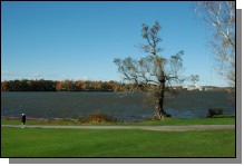 071028-014.jpg  (84.9 Kb)