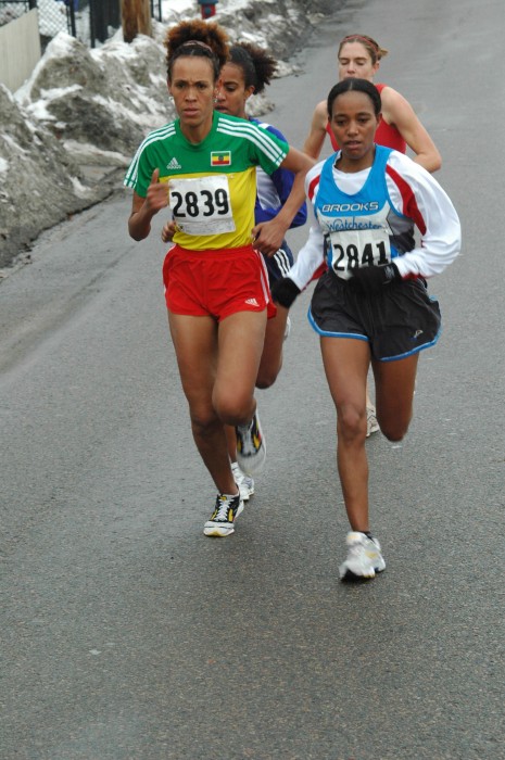 071223-038.jpg  (92.9 Kb)