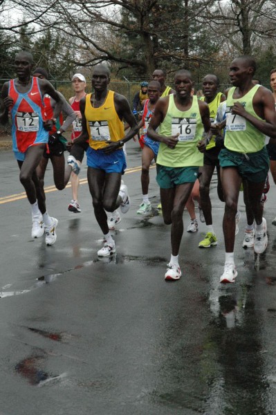 DSC_3527.jpg  (75.8 Kb)