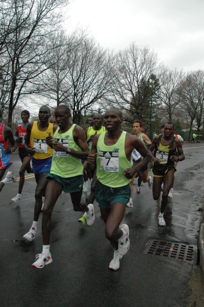 DSC_3529.jpg  (76.7 Kb)