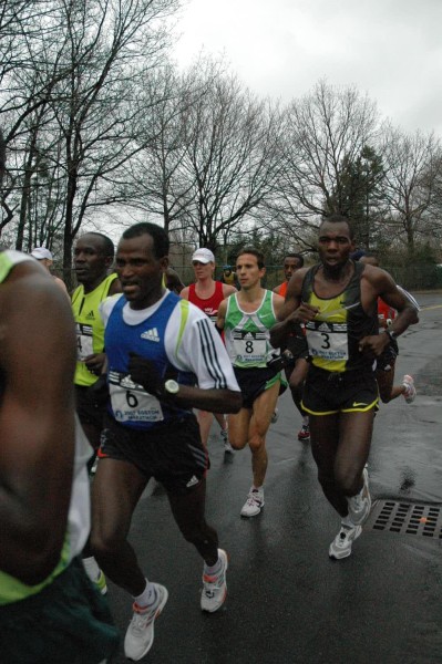 DSC_3530.jpg  (76.2 Kb)