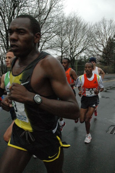 DSC_3531.jpg  (69.2 Kb)