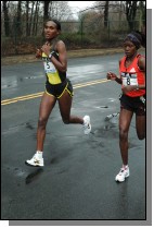 DSC_3487.jpg  (64.6 Kb)