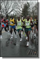 DSC_3528.jpg  (87.7 Kb)